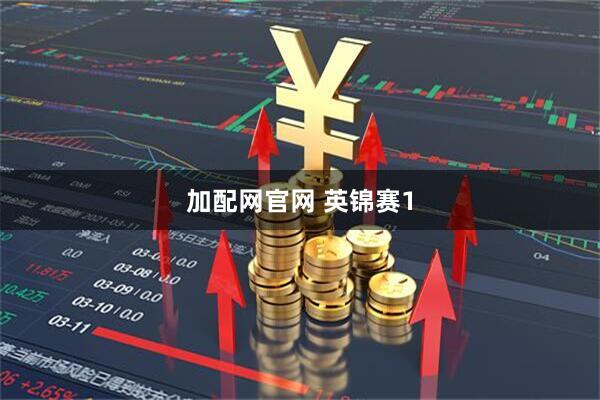 加配网官网 英锦赛1