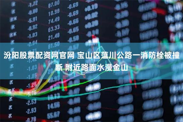 汾阳股票配资网官网 宝山区蕰川公路一消防栓被撞断 附近路面水漫金山